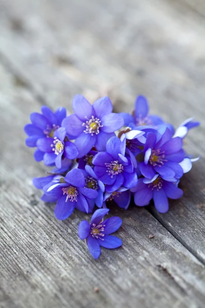 Blue spring flowers on wooden table — Stock Photo, Image