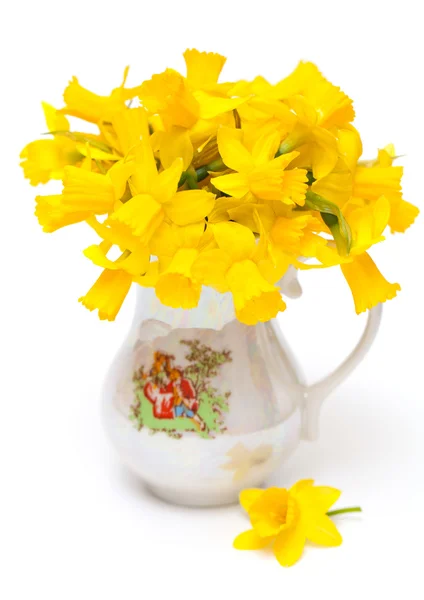 Fiore di narciso in vaso — Foto Stock