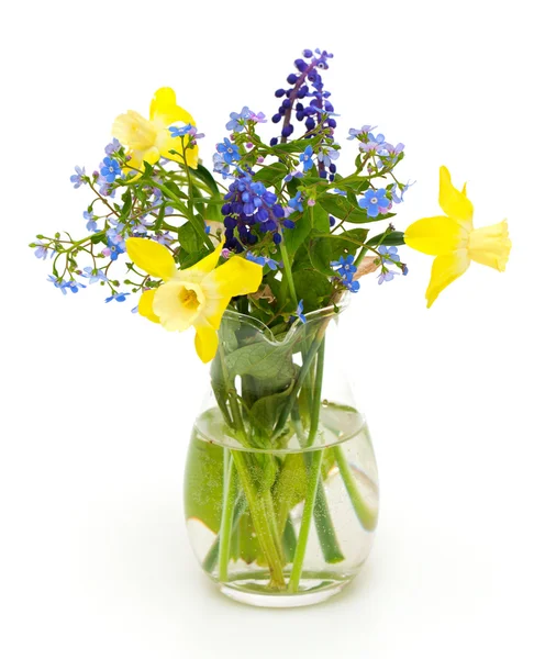 Bouquet of spring flowers on white background — Stock Photo, Image