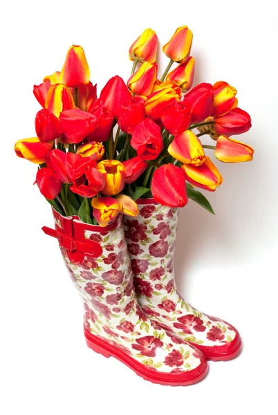 Verse tulpen op mooie rubber schoenen — Stockfoto