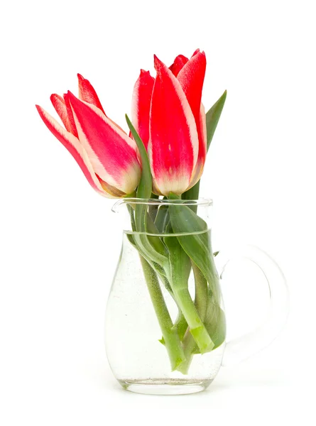 Tulipas vermelhas em vaso de vidro — Fotografia de Stock