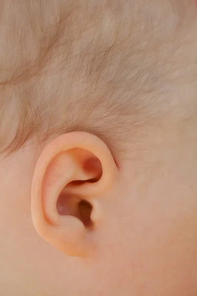 Primer plano de la oreja del bebé —  Fotos de Stock
