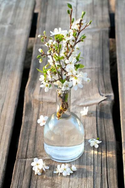 Floraciones de primavera en jarrón de vidrio sobre superficie de madera —  Fotos de Stock