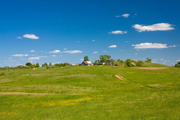 Country summer landscape — Stock Photo, Image