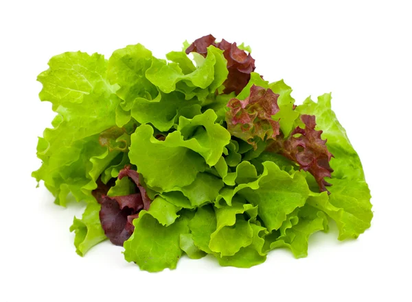 Färsk grön och röd sallad isolerad på vit bakgrund — Stockfoto