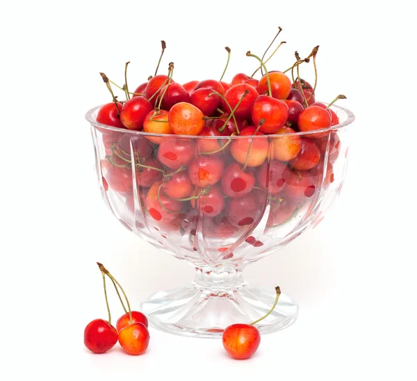 Gula och röda körsbär i skål — Stockfoto
