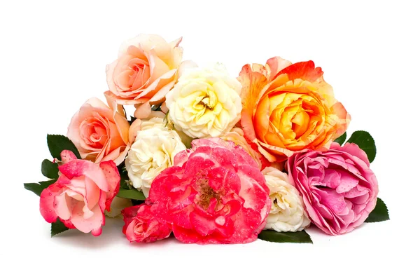 孤立在白色背景上的五彩玫瑰花束 — 图库照片