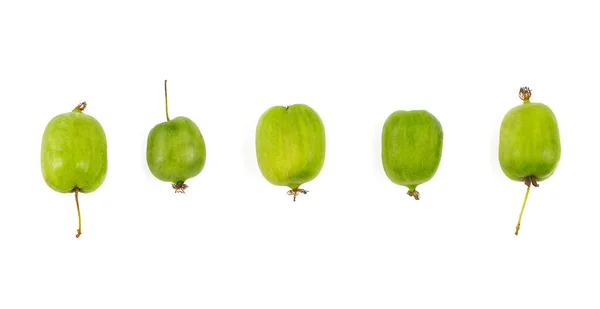 Attinidia Isolata Fondo Bianco Primo Piano — Foto Stock