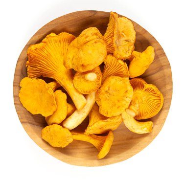 Chanterelle beyaz arkaplanda izole edildi, kapat