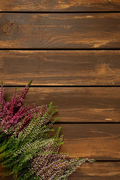 Calluna Vulgaris Superfície Madeira Marrom Espaço Vazio — Fotografia de Stock