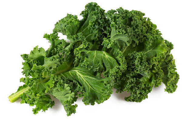 fresh kale cabbage isolated on white background