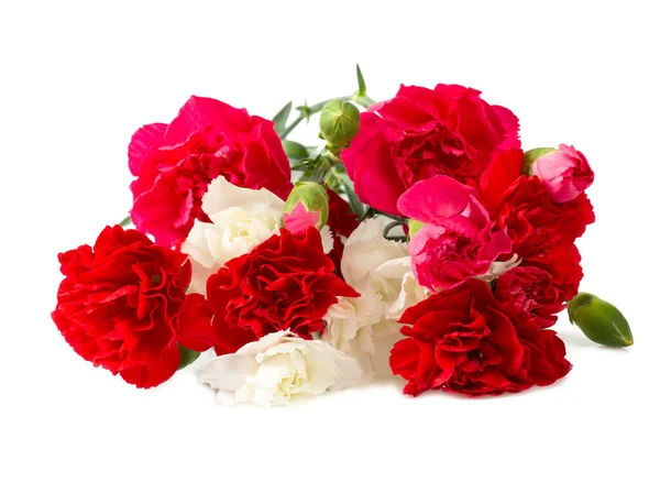 Bouuqet Clous Girofle Roses Rouges Blancs Isolés Sur Fond Blanc — Photo