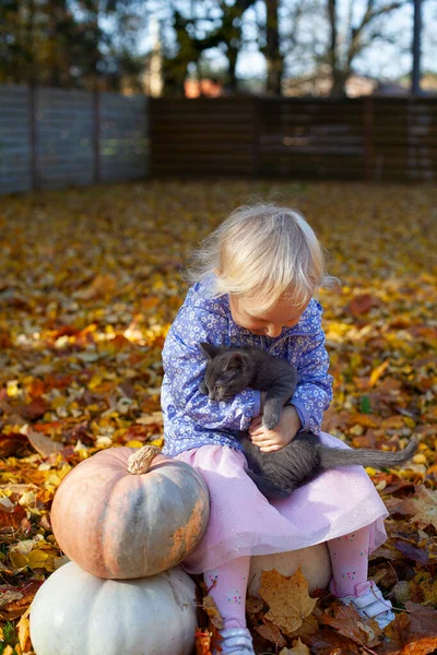 Симпатичная Трехлетняя Девочка Держит Руках Своего Маленького Котенка — стоковое фото