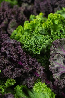 kırmızı ve yeşil, kahverengi ahşap yüzeyde lahana