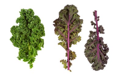 Kırmızı ve yeşil lahana yaprakları beyaz arka planda izole, yakın