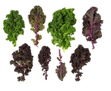 Kırmızı ve yeşil lahana yaprakları beyaz arka planda izole, yakın