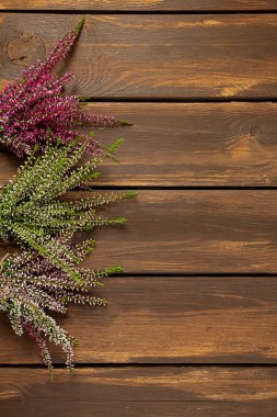 Kahverengi ahşap yüzeyde calluna vulgaris