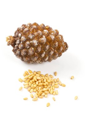 Beyaz arka planda çam fıstıklı sedir konisi