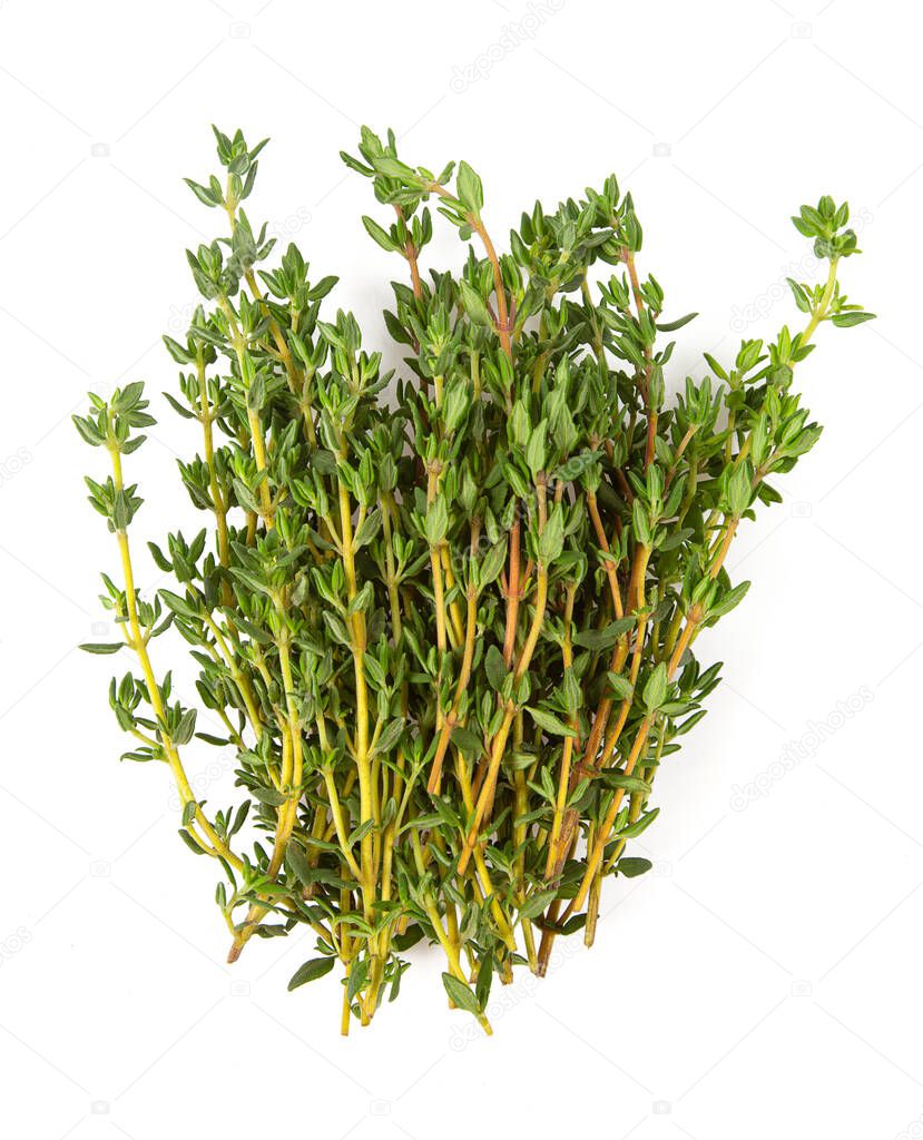thyme isolated on white background, top view