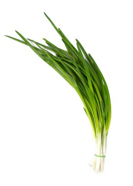 Beyaz arkaplanda yalıtılmış taze soğan dalı