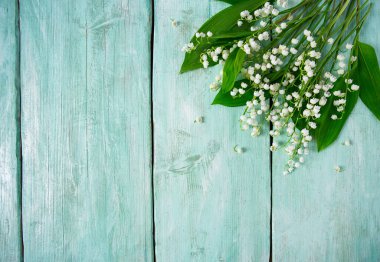 Turkuaz ahşap yüzeyde vadi zambakları.