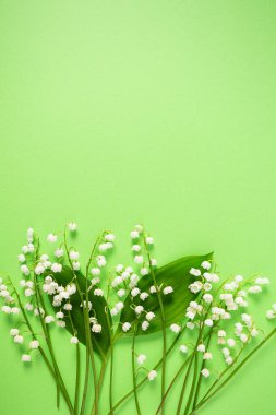 Yeşil yüzeydeki vadi zambakları.