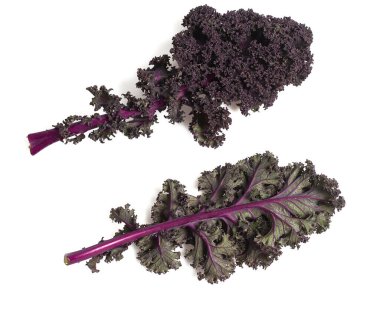 Beyaz arka planda taze lahana.