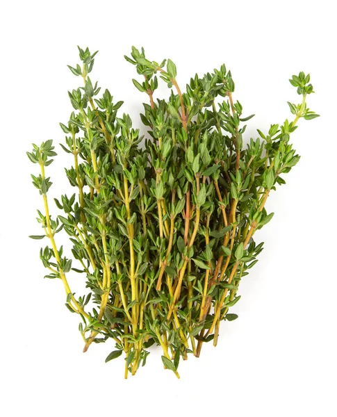 Thyme Isolated White Background Top View — Stock Photo, Image