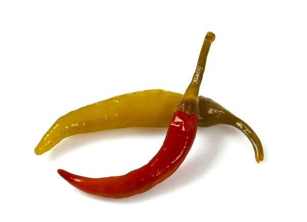 Piment Jalapeno Mariné Isolé Sur Fond Blanc Photographie Culinaire Poivre — Photo