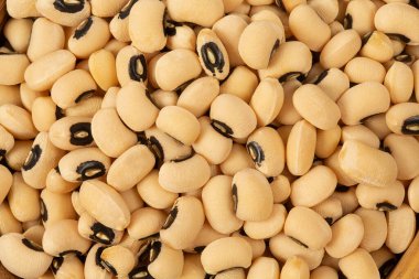 Beyaz arka plan üzerinde izole börülce