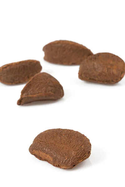 Brazilian Nut Shelles Isolated White Background — Stok fotoğraf