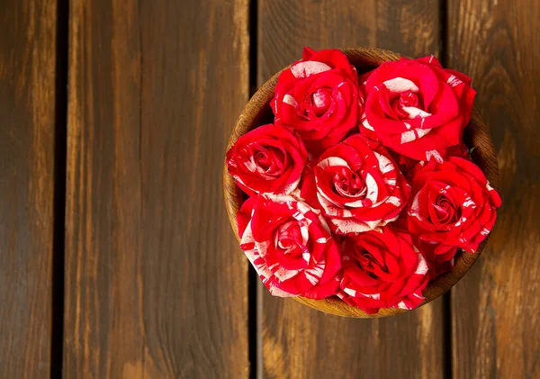 Pruhované Růže Dřevěném Povrchu — Stock fotografie