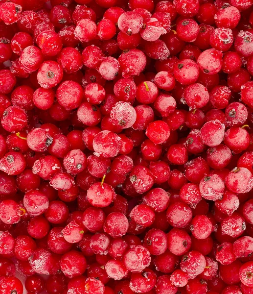 Frozen Red Currants Close — Stock Photo, Image