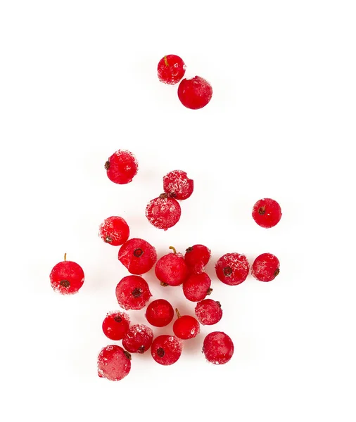 Red Currants Isolated White Background — Stock Photo, Image