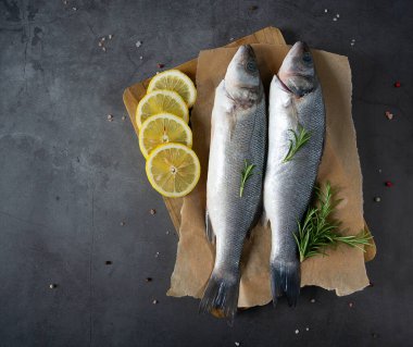 Koyu taş yüzeyde deniz kabuğu