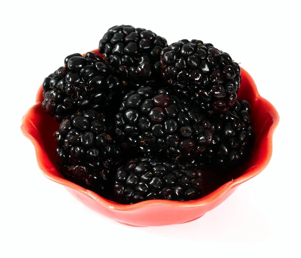 Blackberries Pink Bowl Isolated White Background — Stock Photo, Image