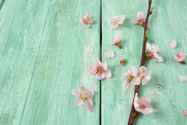 Kwiaty Wiśni Turkusowej Drewnianej Powierzchni — Zdjęcie stockowe