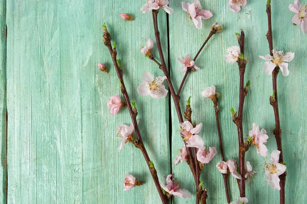 Άνθη Κερασιάς Τυρκουάζ Ξύλινη Επιφάνεια — Φωτογραφία Αρχείου