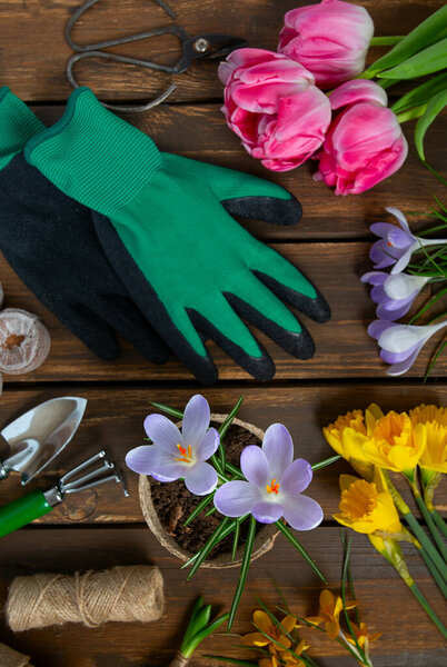 Садовые инструменты на коричневой деревянной поверхности, вид сверху