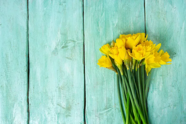 Narcissus Flowers Turquoise Surface Top View Copy Space Your Text — Stock Photo, Image