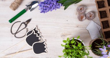 Beyaz ahşap yüzeyde bahçe aletleri ve bahar çiçekleri