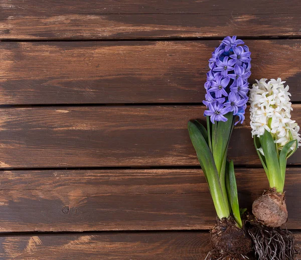 Spring Flowers Wooden Surface Top View Empty Space Your Text — Stock Photo, Image
