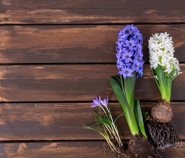 Spring Flowers Wooden Surface — Stock Photo, Image