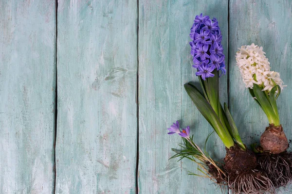 Bahar çiçekleri ahşap yüzey üzerinde