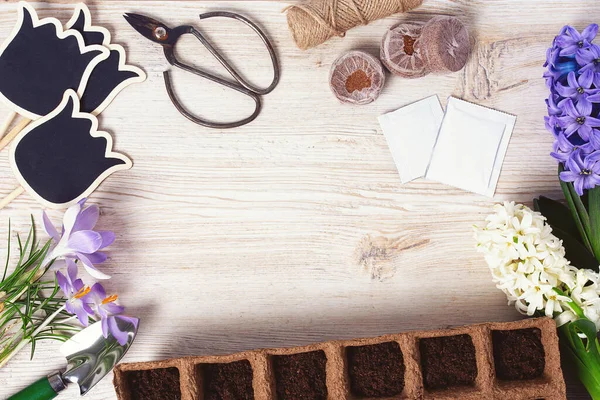 Beyaz ahşap yüzeyde bahçe aletleri ve bahar çiçekleri