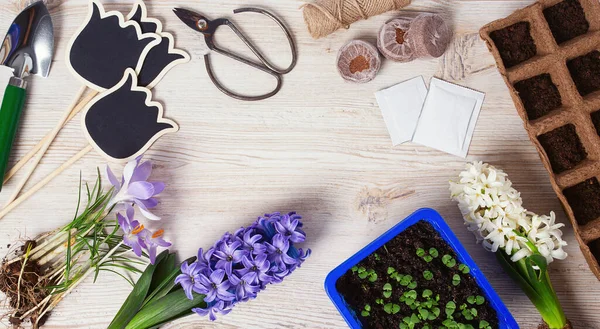 Beyaz ahşap yüzeyde bahçe aletleri ve bahar çiçekleri