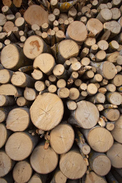 Stacked Loggs Fire Wood Texture Background Close Loggs —  Fotos de Stock