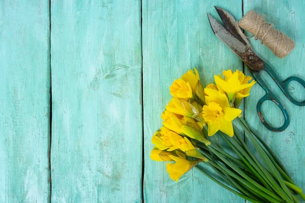 Narcissus Λουλούδια Τυρκουάζ Επιφάνεια Πάνω Όψη Και Κενό Χώρο Για — Φωτογραφία Αρχείου