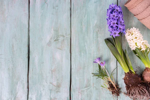 Spring Flowers Wooden Surface — Stock Photo, Image