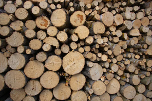 Yığılmış Odun Dokusu Kayıtları Kapatın Yuvarlak Günlük Kaydı — Stok fotoğraf